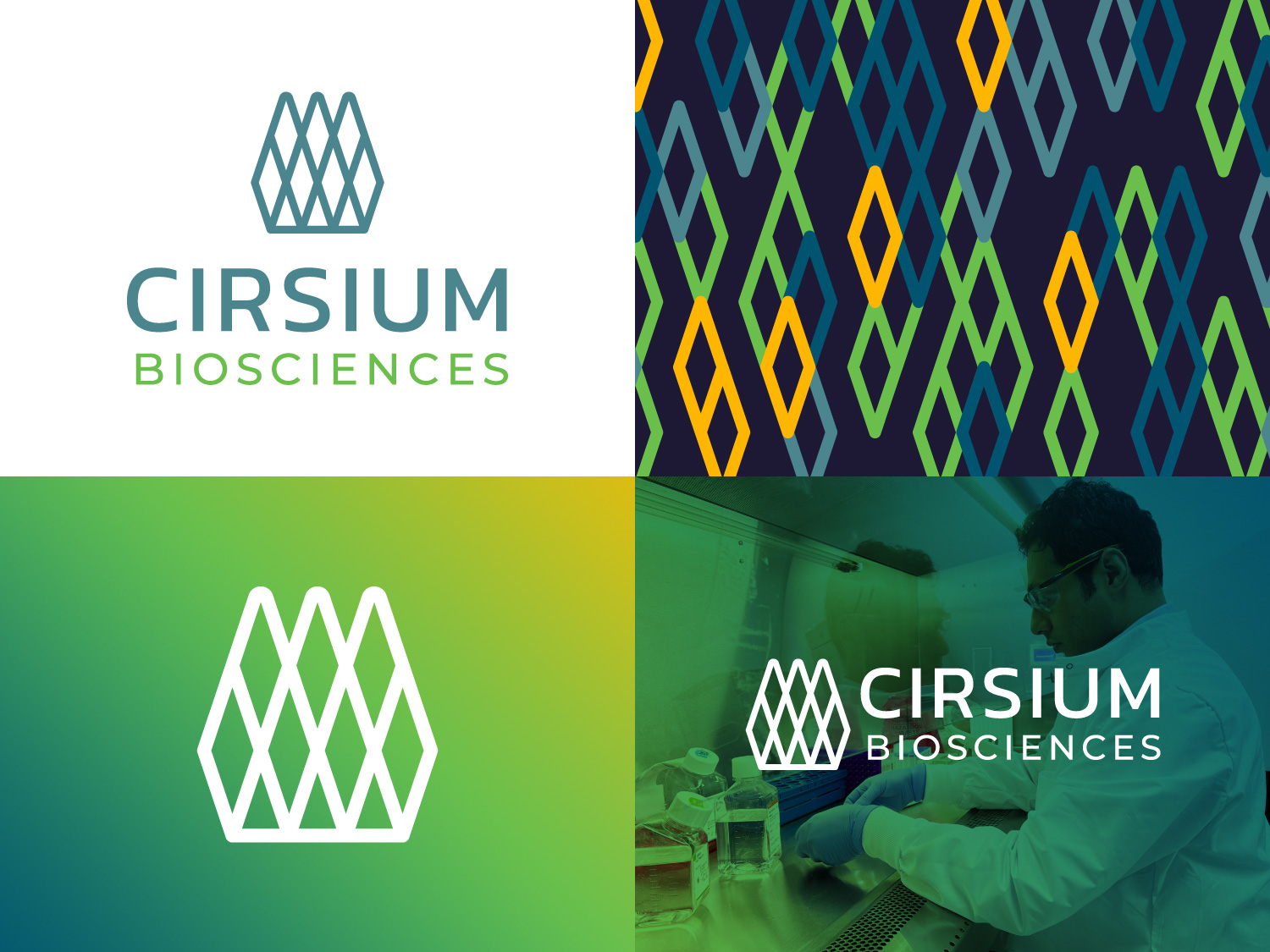 Cirsium Biosciences Brand identity in logo