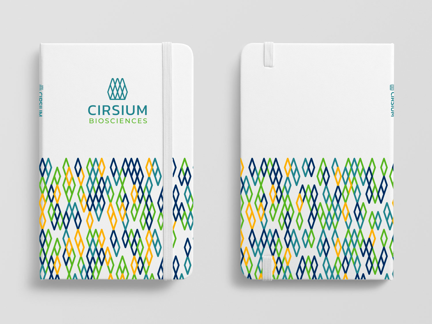 Cirsium Biosciences Brand identity in notebook